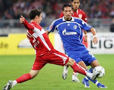 他们展示了 他们展示了